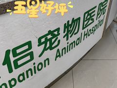 -爱侣宠医·鹦鹉专科·小型哺乳类·异宠专科(灵石路店)