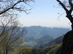 -大岭沟猕猴桃谷风景区