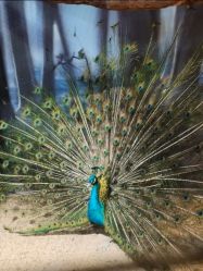 -酷嗒动物文化乐园(cutezoo西溪乐天城店)