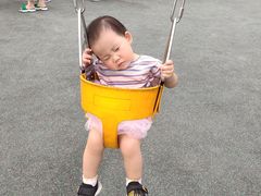 -枫香湖儿童公园