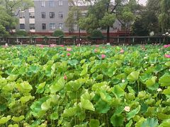 -四川大学(望江校区)