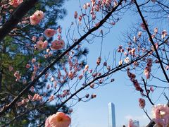 -白塘生态植物园