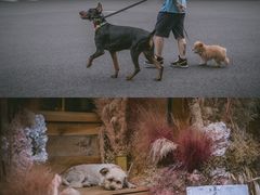 -安福路