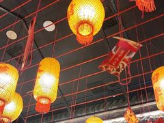 -粤凤佬