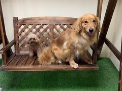 -白兔子密室(长寿路店)