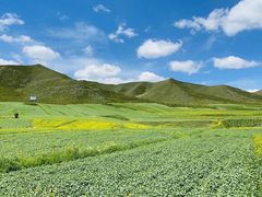 -扁都口生态休闲旅游区