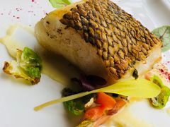 -Oyster Talks 四度蚝法餐厅