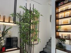 -谷隆画舍·国画书法素描彩铅水彩