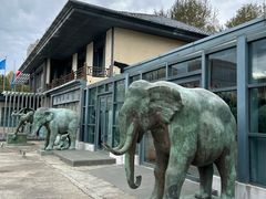 -长春世界雕塑园冰雪艺术天地