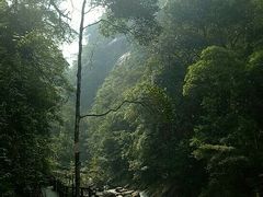 -九龙江国家森林公园