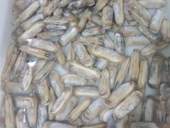 -宾朋海鲜特色美食餐厅·纯手工鲅鱼水饺(兴海路店)