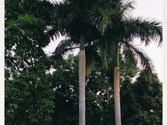 -云溪植物园