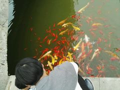 景点-焦作影视城