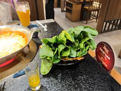 -湊湊火锅·茶憩(世博大道店)
