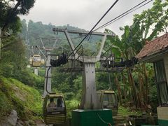 -黔灵山公园