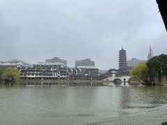 -长兴太湖图影湿地文化园