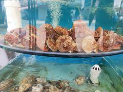 -沿海渔家院海鲜烧烤·东北菜(东戴河店)
