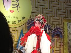 -陕西戏曲非遗博物馆