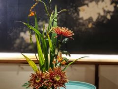 -希望日本料理(保利香槟花园店)