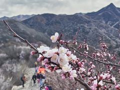 -龙泉峪长城