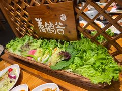 -青鹤谷(虹莘路总店)