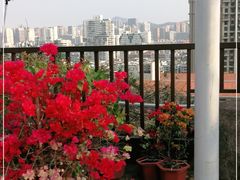 -仙岳公园