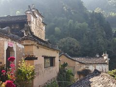 -杨家堂村