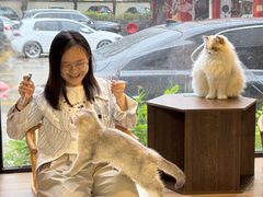 -豆逗聊愈猫阁Easy Life