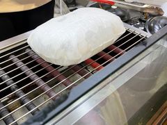 -内涵饵块