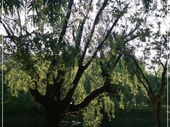 -贵阳市花溪国家城市湿地公园