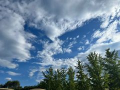 -北京市海淀外国语实验学校