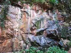 -上海佘山国家森林公园西佘山园