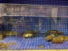 -香山湖渔家大院