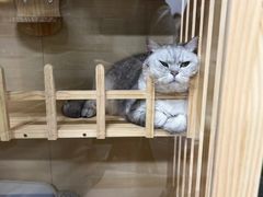-艺味深尝(云锦路店)