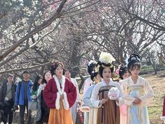 -无锡梅园公园