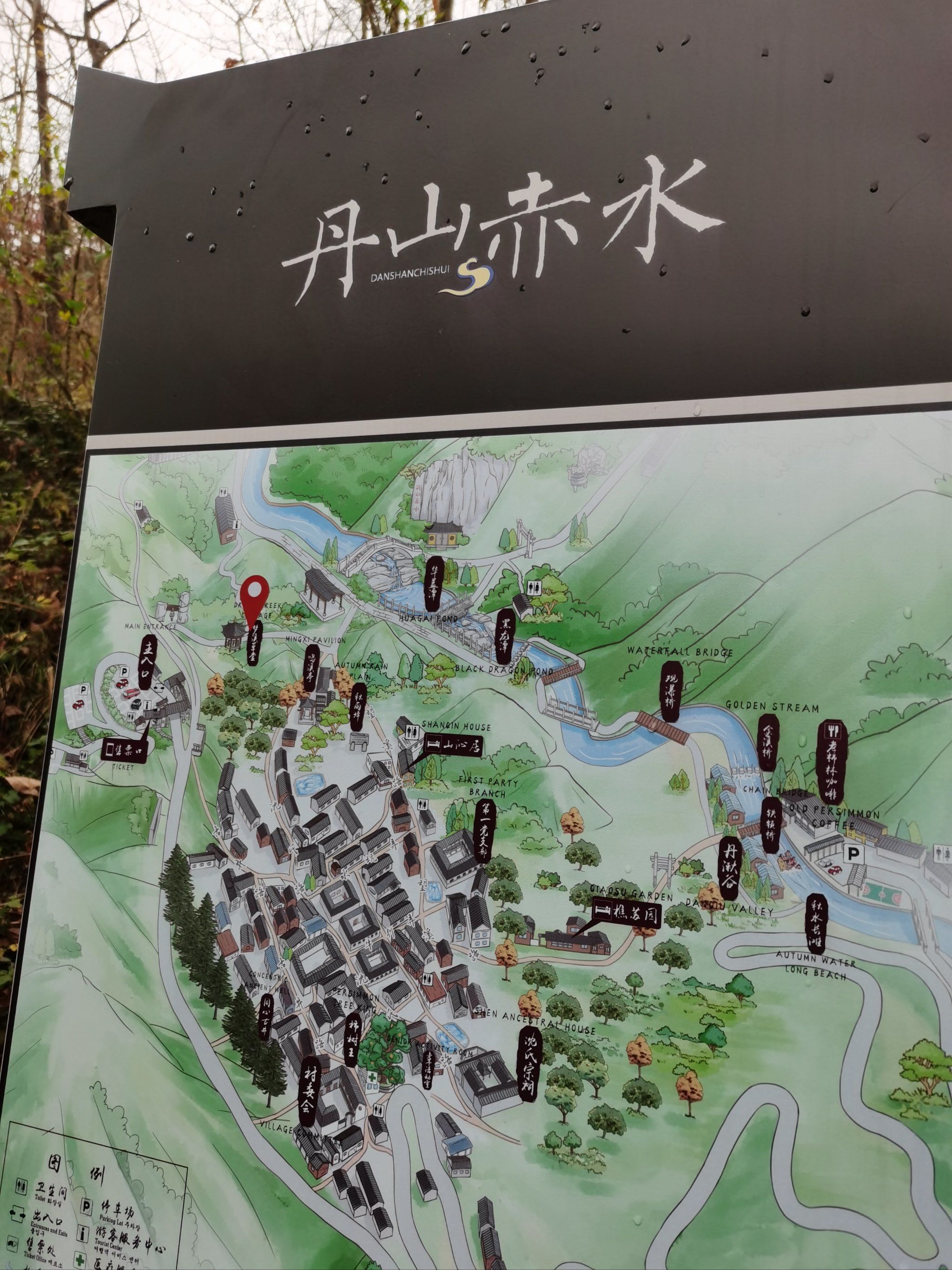 山顶绿意浓浓哒