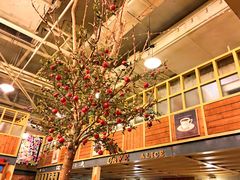-Cafe Alice咖啡爱丽丝(奥城店)