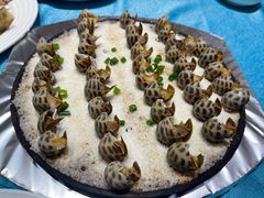 盐焗海螺-北塘海鲜·天津菜(大光明桥旗舰店)