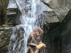 -普洱太阳河森林公园