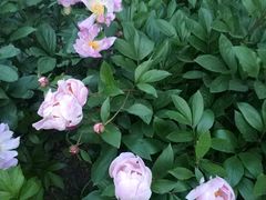 -长春公园(普阳街道)