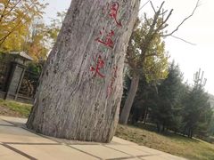 -金石唐风国际温泉会馆