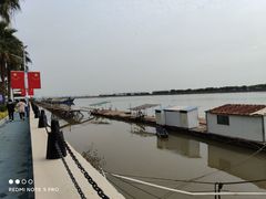 -大湾区中央湿地公园-十九涌