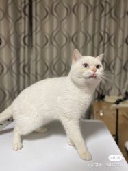 -哈妮儿童摄影(德清店)
