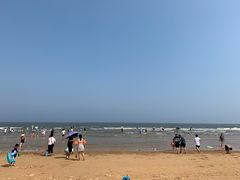 -日照海滨国家森林公园