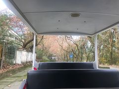 -绵竹市汉旺地震遗址公园