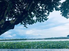 -印象西湖·最忆是杭州实景演出