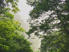 -狼牙山风景区