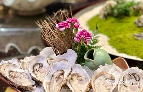 Chenzhou Large Oyster