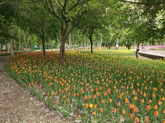 -长春公园(普阳街道)