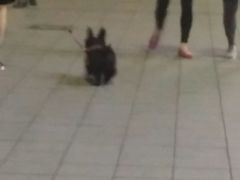 -巷内锅盔(西城都荟店)